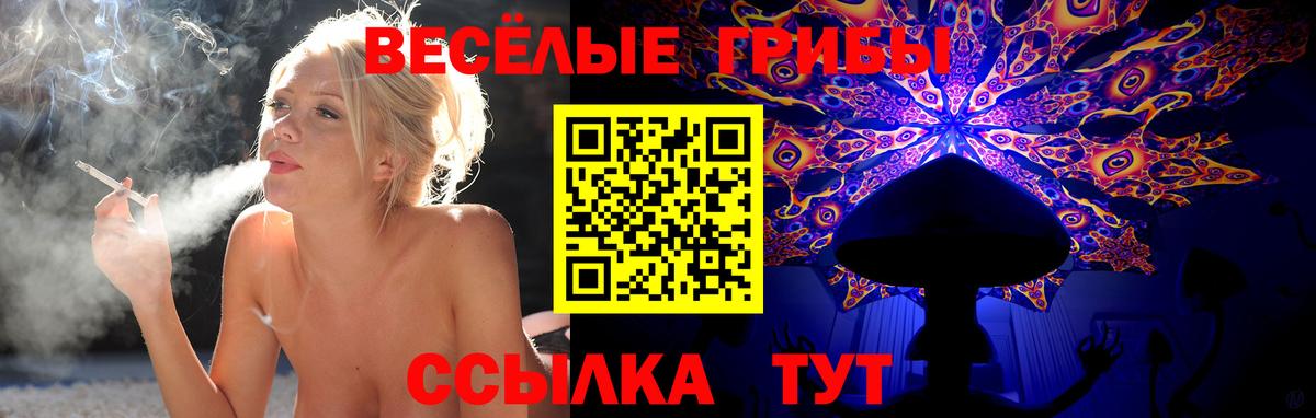 Псилоцибиновые грибы Psilocybine cubensis Мариинск